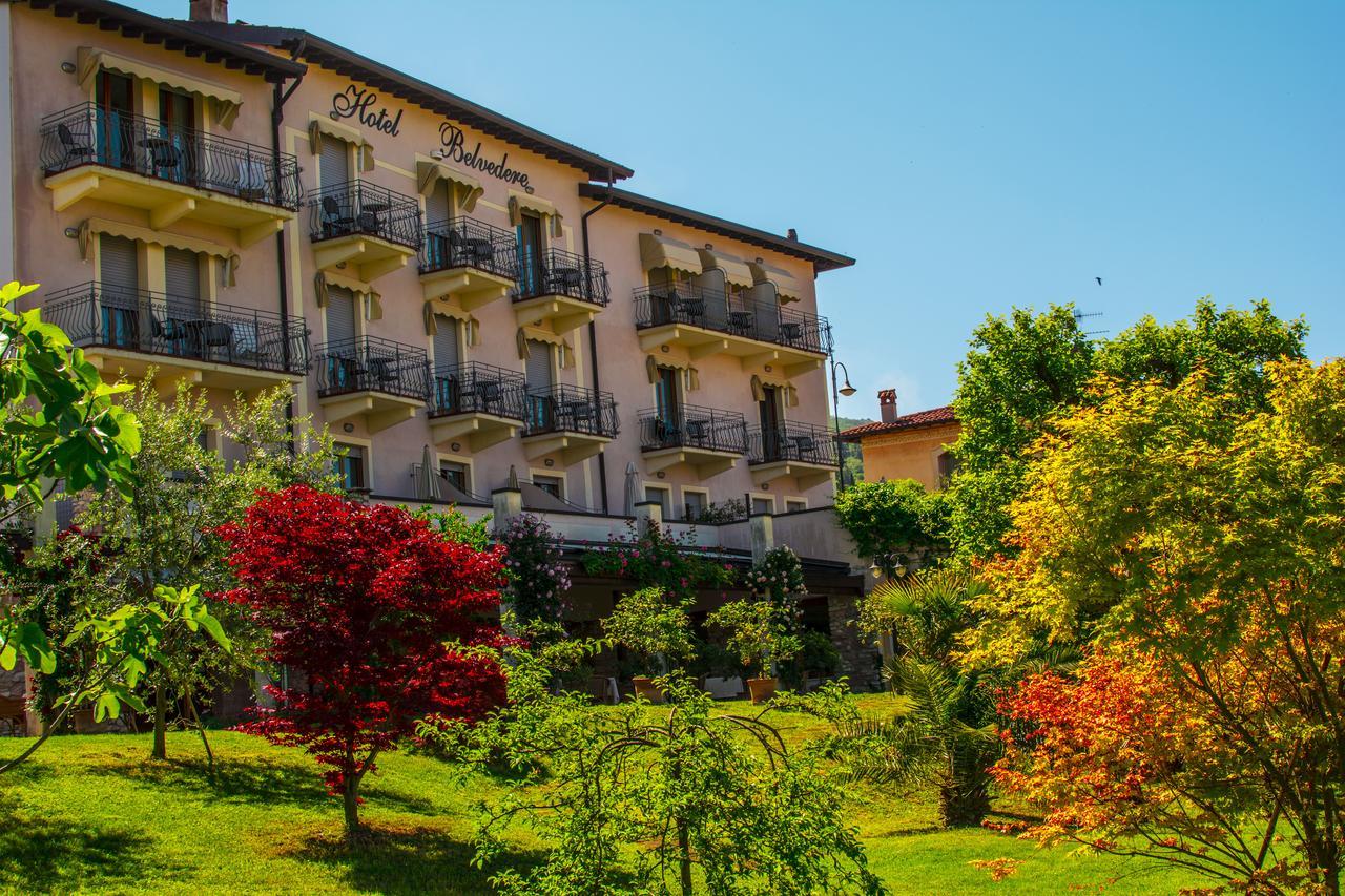 Hotel Belvedere Torri Del Benaco Εξωτερικό φωτογραφία