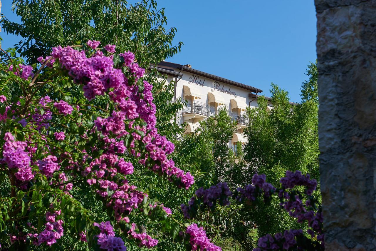 Hotel Belvedere Torri Del Benaco Εξωτερικό φωτογραφία