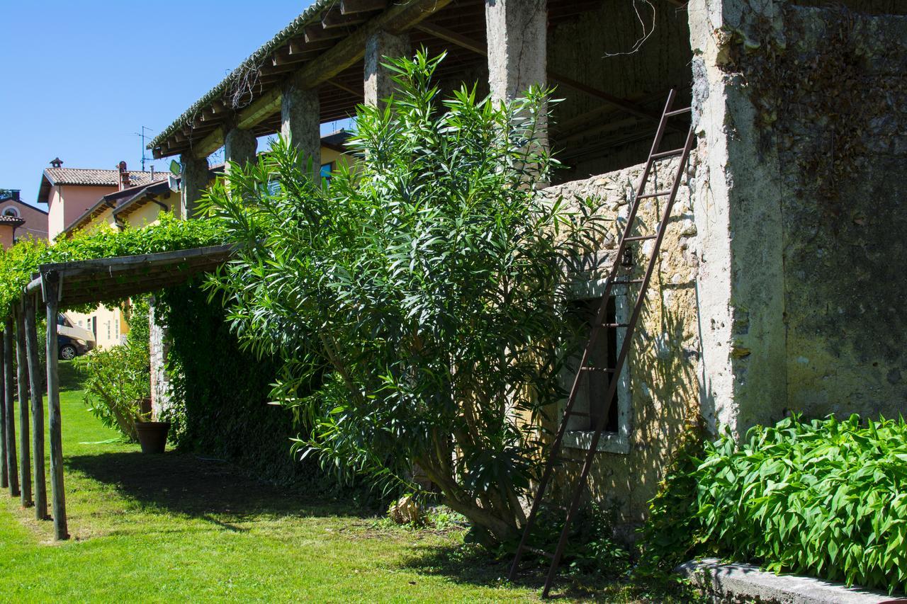 Hotel Belvedere Torri Del Benaco Εξωτερικό φωτογραφία