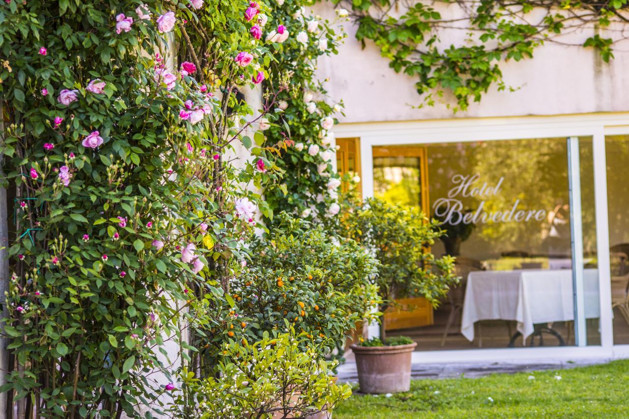 Hotel Belvedere Torri Del Benaco Εξωτερικό φωτογραφία