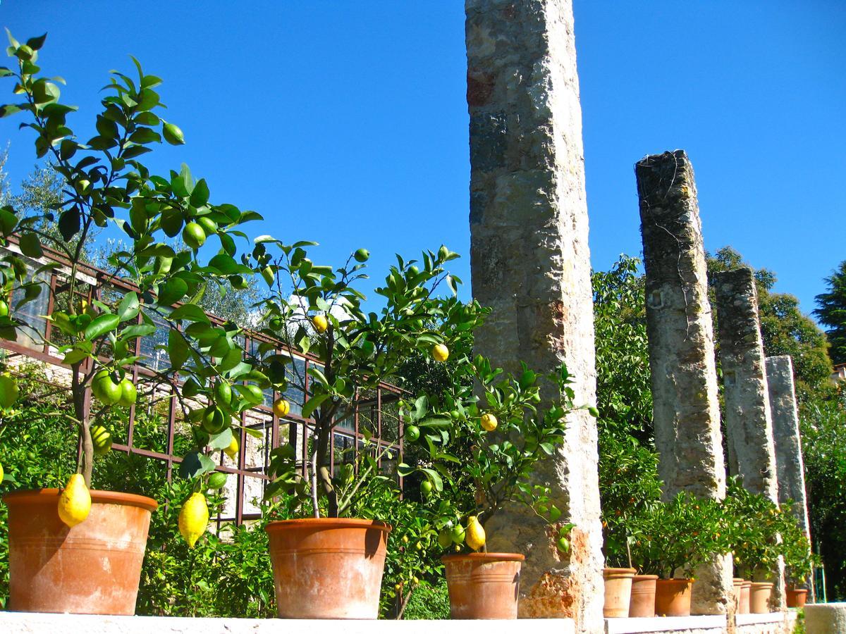 Hotel Belvedere Torri Del Benaco Εξωτερικό φωτογραφία