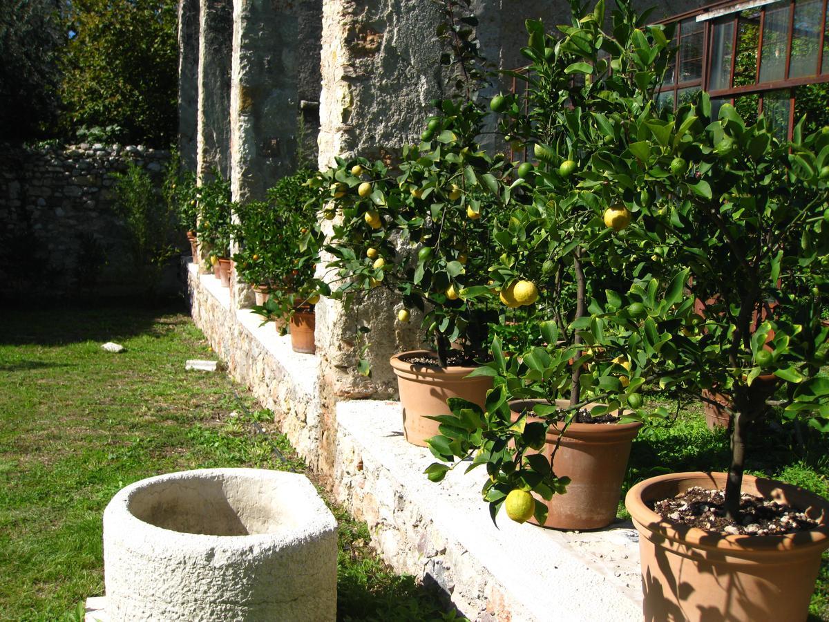 Hotel Belvedere Torri Del Benaco Εξωτερικό φωτογραφία